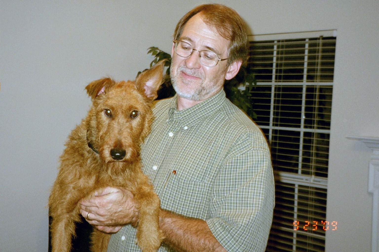 Our Girl Rose Irish Terrier Rescue Network