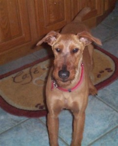 Skye0003